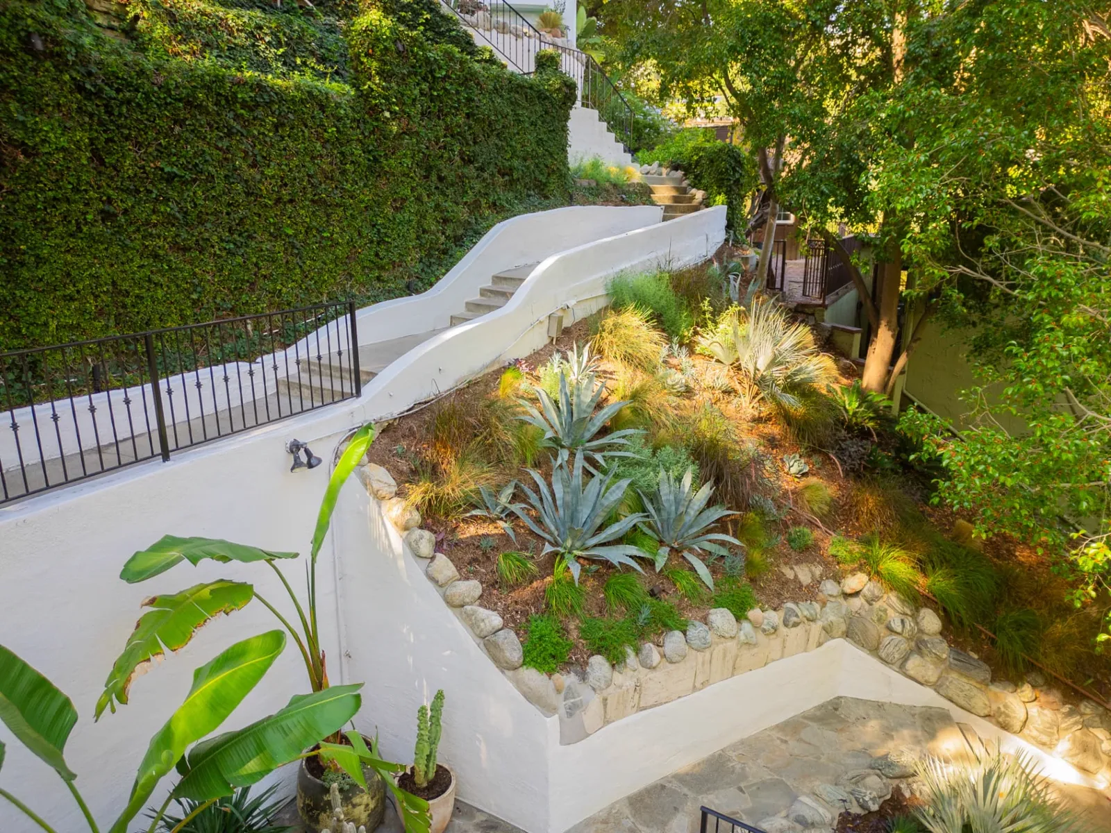 Leon's Landscape — Hollywood Hills residence landscape design