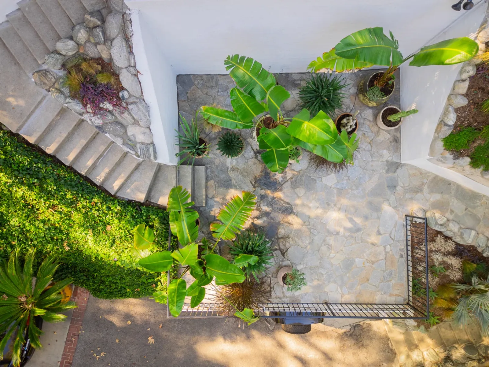 Leon's Landscape — Hollywood Hills residence landscape design