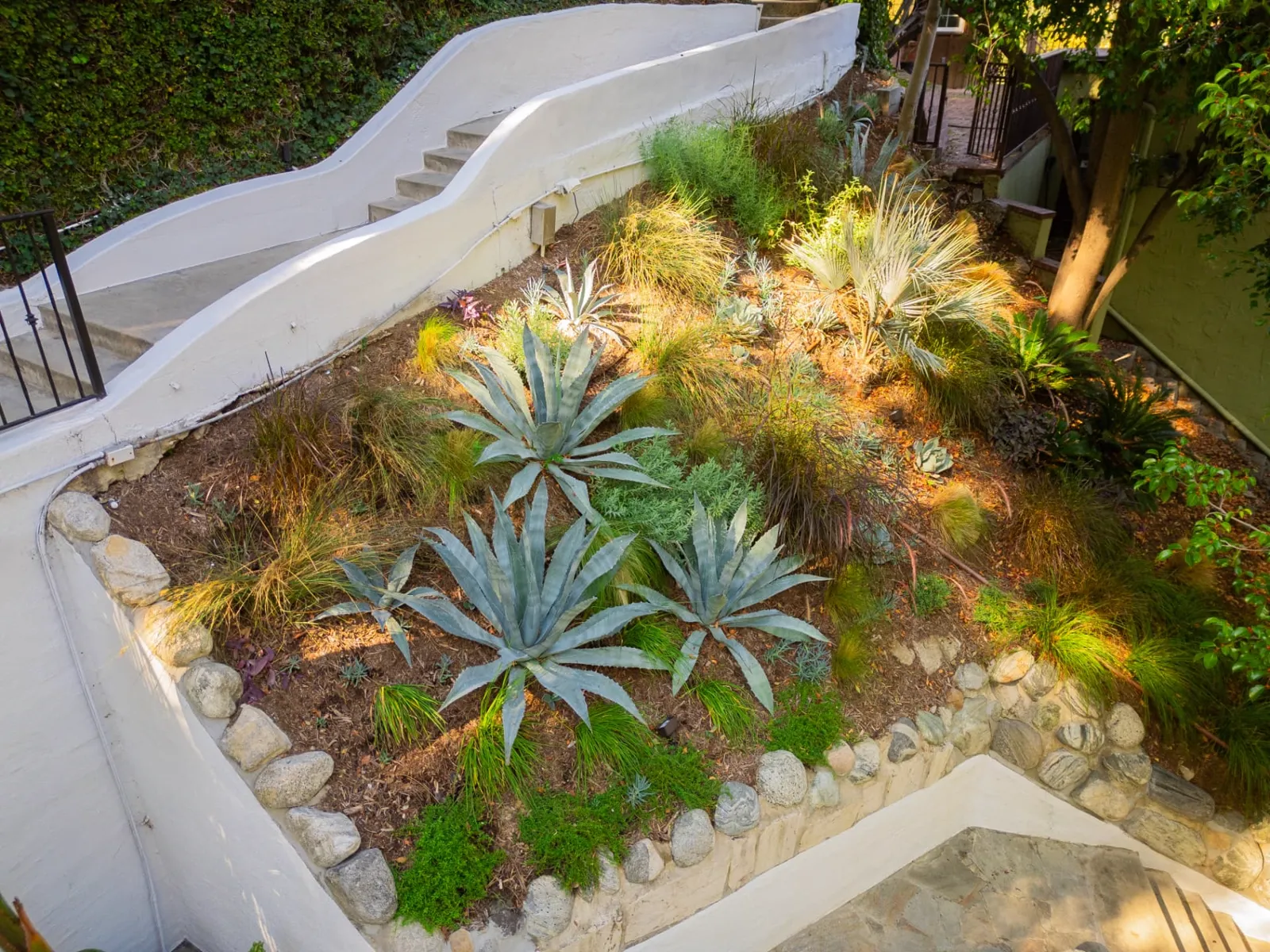 Leon's Landscape — Hollywood Hills residence landscape design